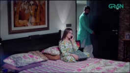 Apney Hee Tou Hain - Episode 01